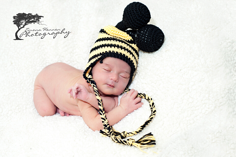 bumble bee crochet hatfree pattern