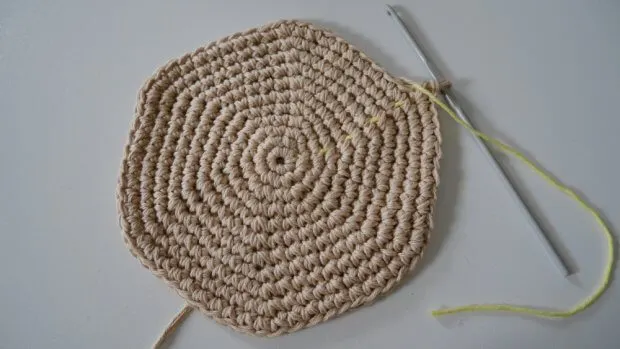 crochet a magic ring.