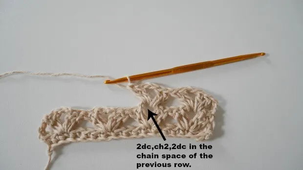 crochet fancy lace stitch2