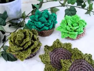 succulent coaster crochet