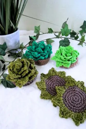 cute succulent coaster beginner friendly with basket/pot plant free pattern.