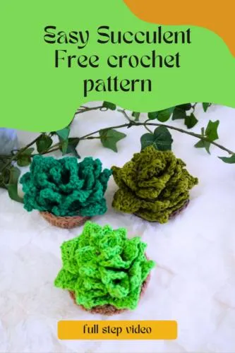succulent crochet coaster free patten
