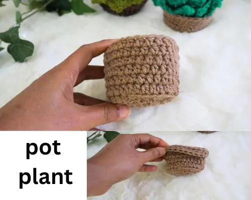 crochet pot plant /basket plant.