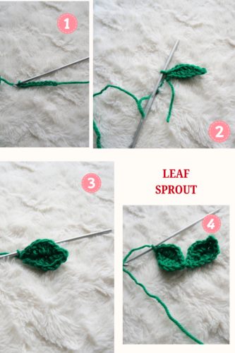 sprout leaf for beginner